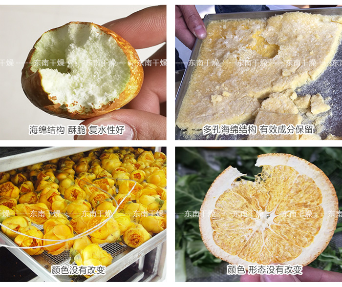 本公司真空冷凍干燥機的部分應(yīng)用（掌握成熟工藝）